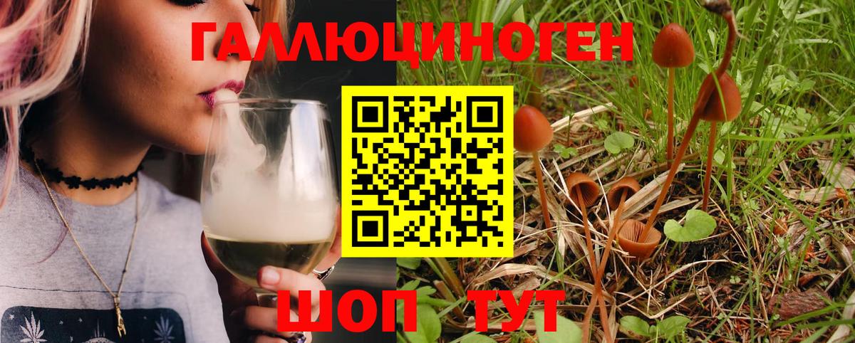 Псилоцибиновые грибы мицелий Чернушка
