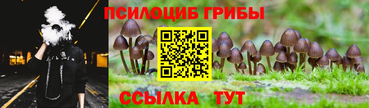 Чернушка  купить закладку  Вход с VPN  Псилоцибиновые грибы Psilocybine cubensis 